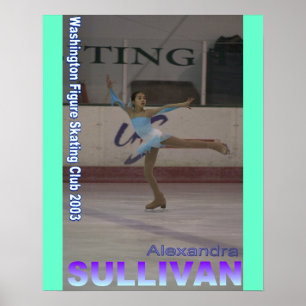 Póster sullivan