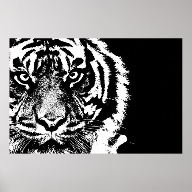 Póster Sumatran Borneo Tiger Preto e Branco (Frente)