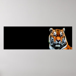 Póster Sumatran Tiger