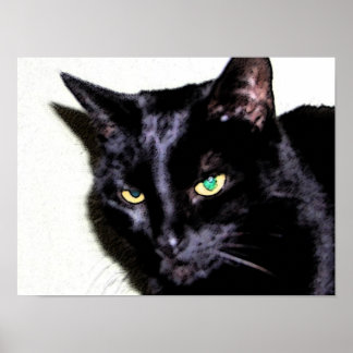 Poster Sumio de Gato Negro