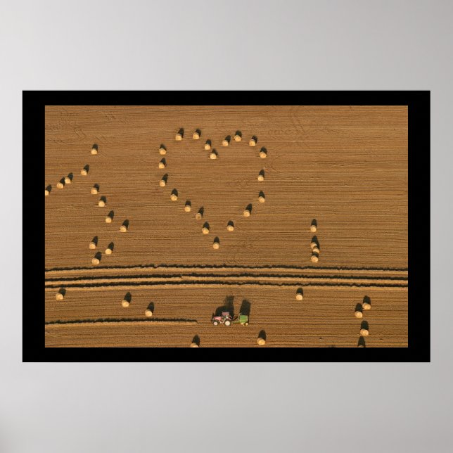 Poster Summer Love (Frente)