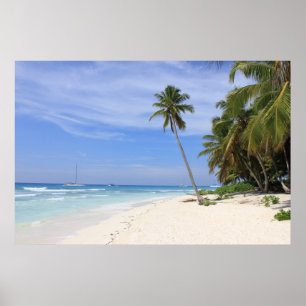 Poster Summer Paradise