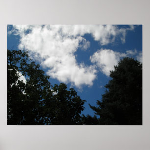Póster Summer Skye