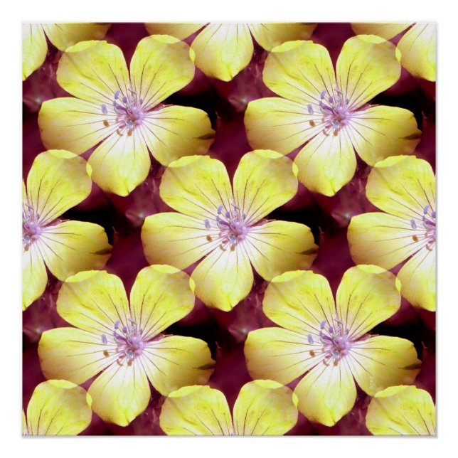 Póster Summery Yellow.... (Frente)