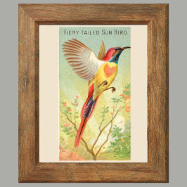 Poster Sun Bird, Set of 6 Bird Gallery Wall, 2 de 6