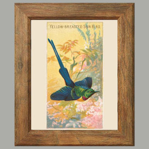 Poster Sun Bird, Set of 6 Bird Gallery Wall, 4 de 6