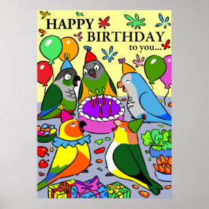 Poster Sun Conure gcc quaker caique senegal papagaio feli