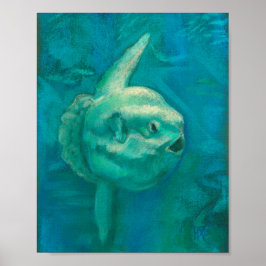 Poster Sun Fish, Mola Mola Ocean Underwater Animal Art P