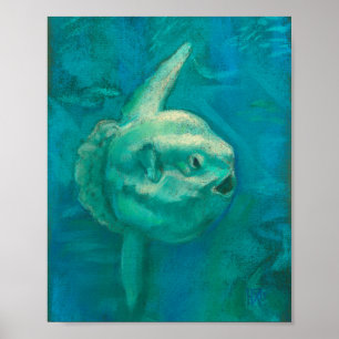 Poster Sun Fish, Mola Mola Ocean Underwater Animal Art P