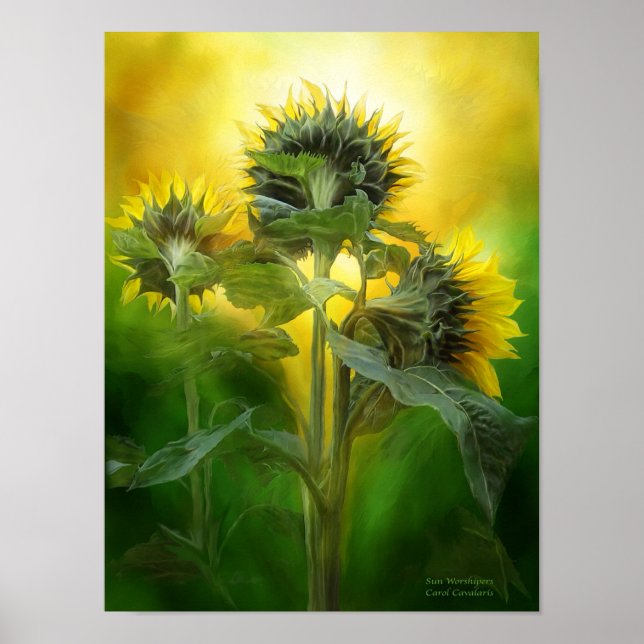 Poster Sun Worshipers Art Poster/Impressão (Frente)