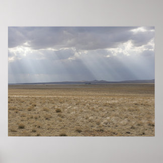 Póster Sunbeams Sobre A Placa