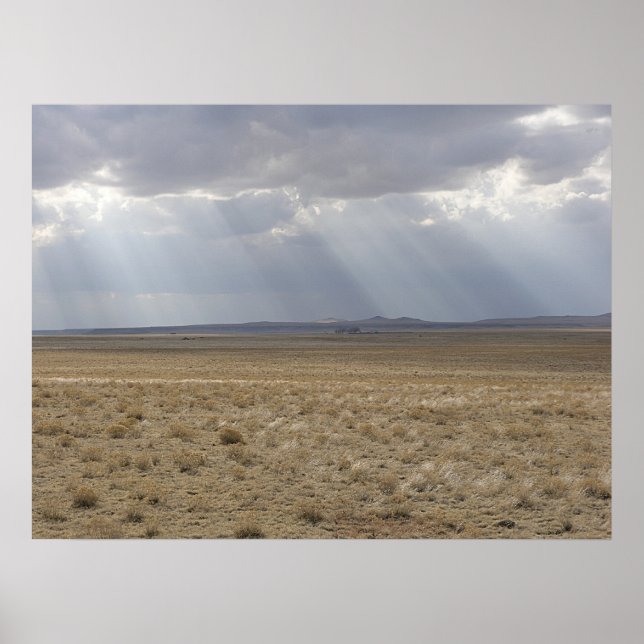 Póster Sunbeams Sobre A Placa (Frente)