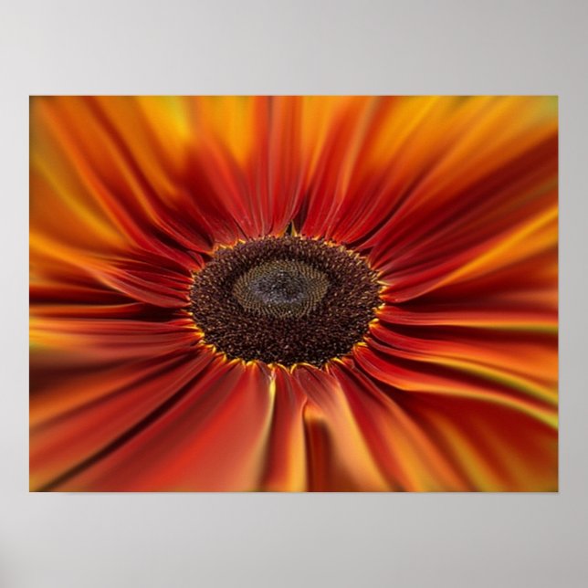 Póster Sunburst (Frente)