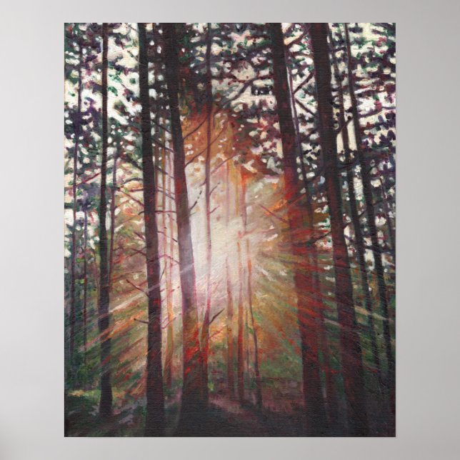 Póster Sunburst 2010 (Frente)