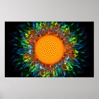 Poster Sunburst Daisy
