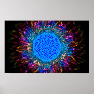 Poster Sunburst Daisy (Invertido)