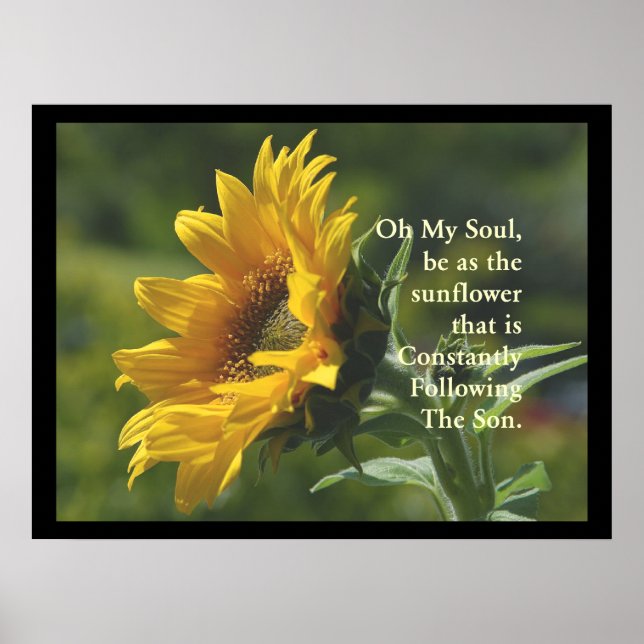 Poster SunFlower (Frente)