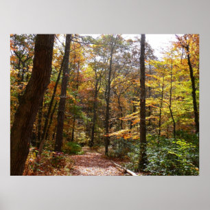 Poster Sunlit Fall Trail no Parque Estadual de Laurel Hil
