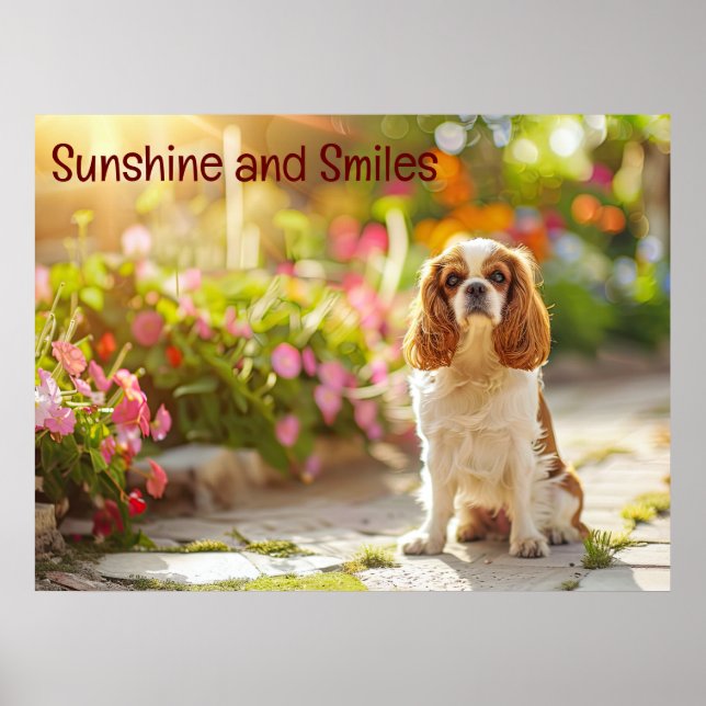 Poster Sunlit Garden Stroll: Cavalier King Charles Spanie (Frente)