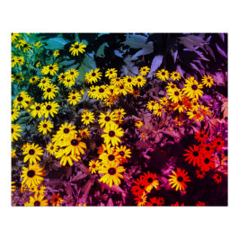 Póster Sunlit Meadow