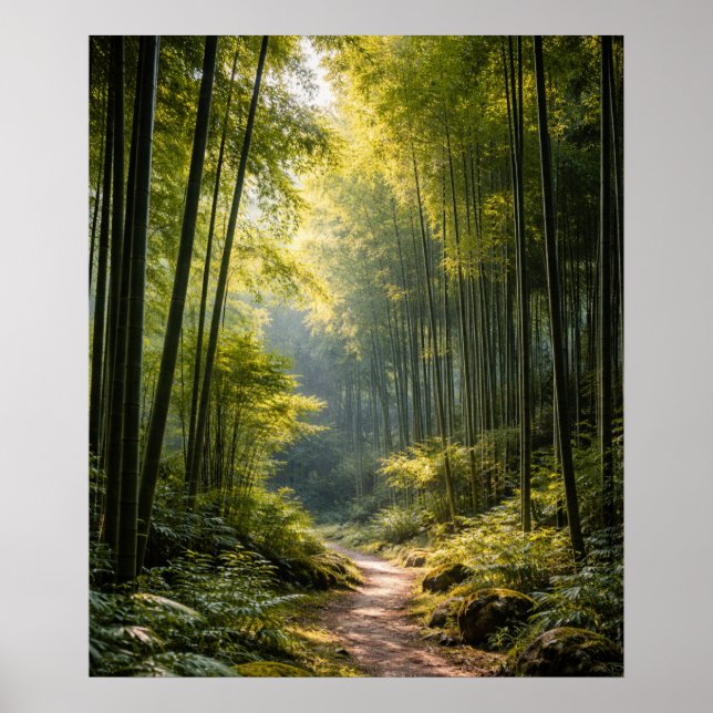 Poster Sunlit Path Through Bamboo Forest (Frente)