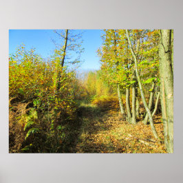 Poster Sunlit Woods no outono - Personalizado