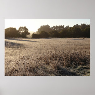 Póster Sunrise na paisagem da Trailhead do Vale do Urso