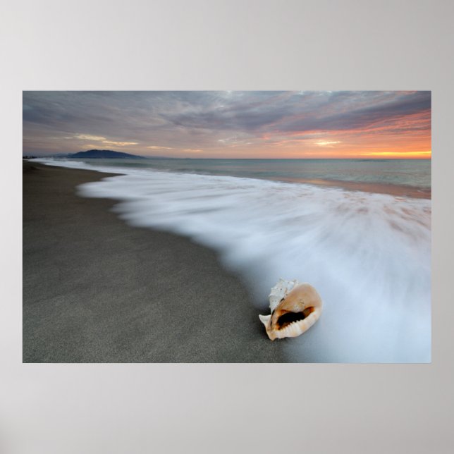 Poster Sunrise Na Praia E Uma Shell (Frente)
