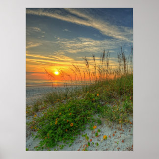 Poster Sunrise sobre dunas de areia na praia de Daytona, 