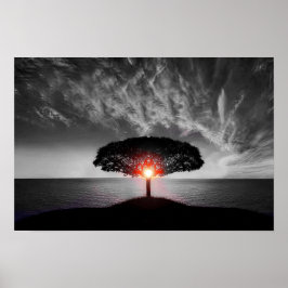 Poster Sunrise Sunset: Abertura de Cor