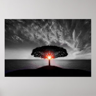 Poster Sunrise Sunset: Abertura de Cor
