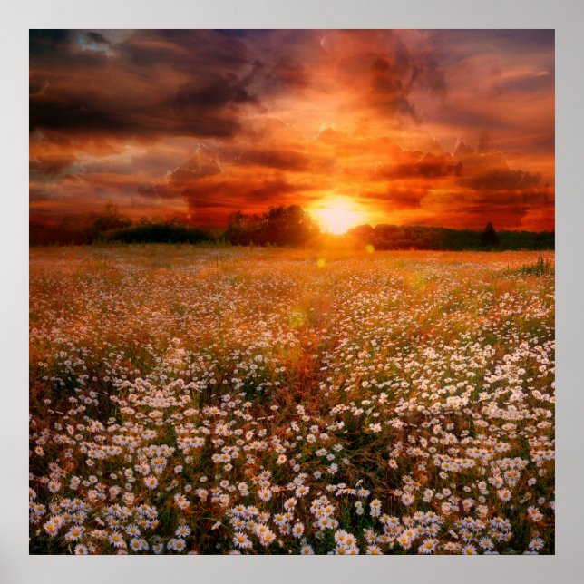 Póster Sunset (Frente)