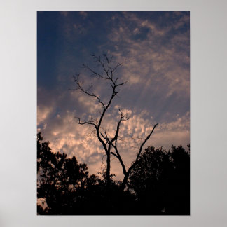 Póster Sunset 18