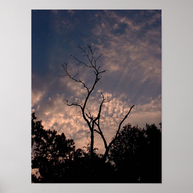 Póster Sunset 18 (Frente)