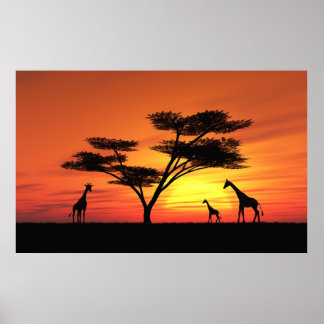 Póster Sunset Africano