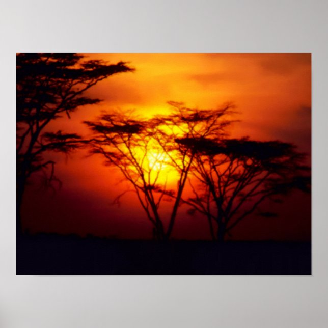 Poster sunset africano (Frente)