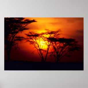 Poster sunset africano
