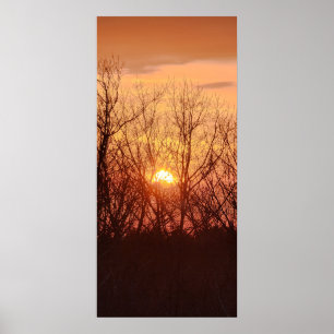 Poster Sunset Atrás das Árvores