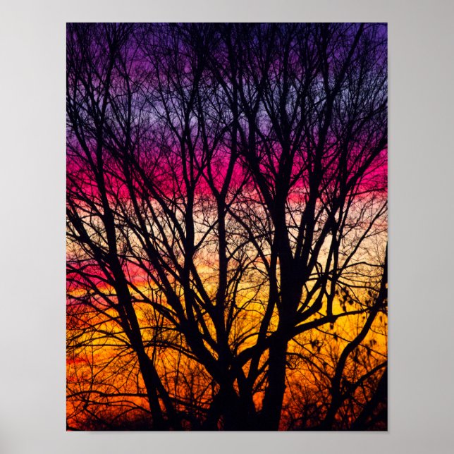 Póster Sunset Colorido com uma árvore abafada, Ohio (Frente)