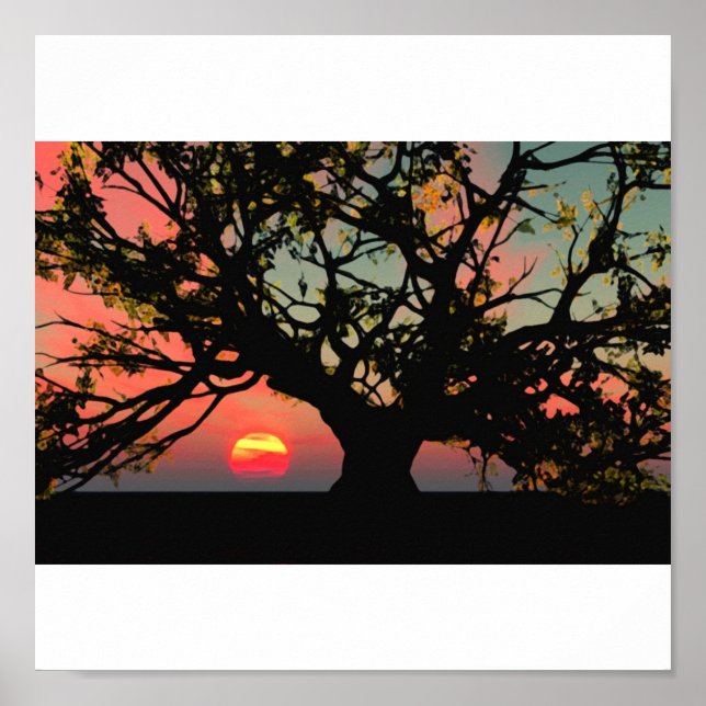 Póster Sunset de Árvore de Carvalho (Frente)