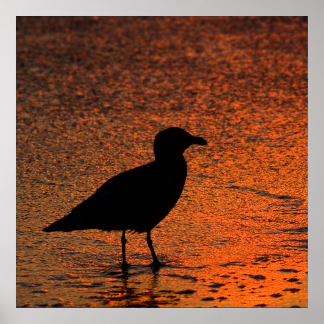 Poster Sunset de cobre (Frente)