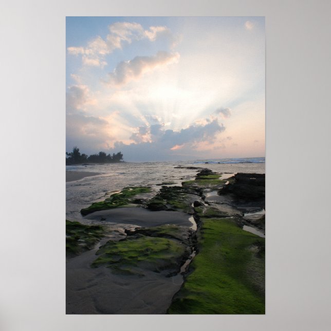 Póster Sunset de costa norte (Frente)