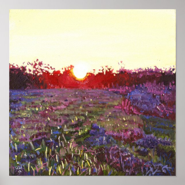 Poster Sunset de Farley 2012 (Frente)