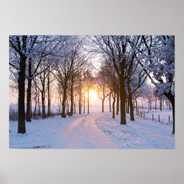 Poster Sunset de inverno (Frente)