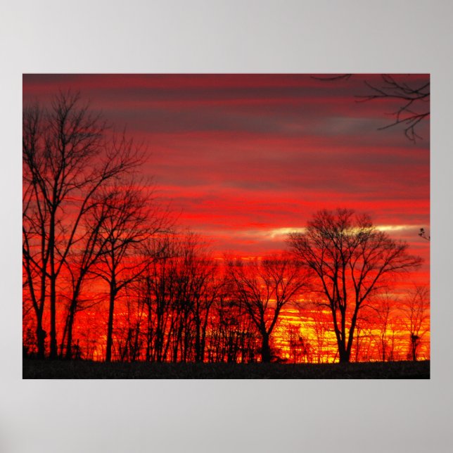 Poster Sunset de Janeiro (Frente)