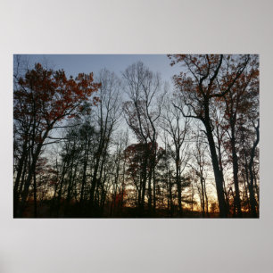 Poster Sunset de novembro