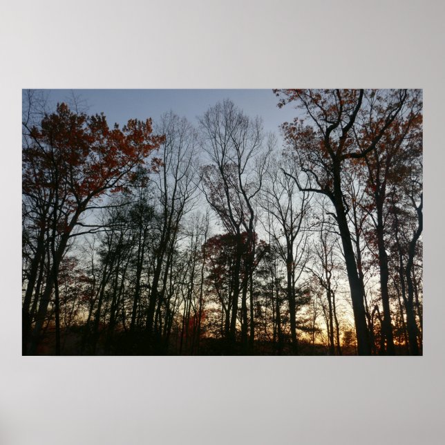 Poster Sunset de novembro (Frente)