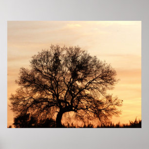 Poster Sunset do Texas Central