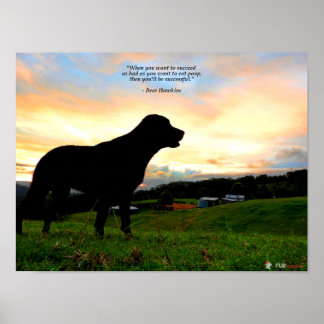 Póster Sunset e Poop