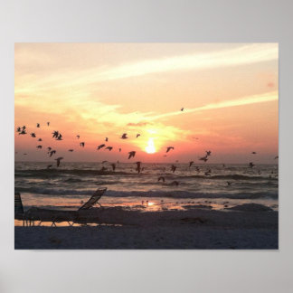 Poster Sunset e Seagulls no quadro de água